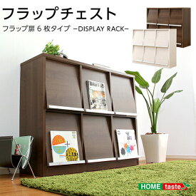 送料無料 収納家具【DEALS-ディールズ-】 フラップ扉6枚タイプ【so】