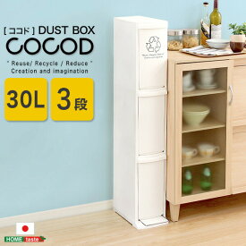 送料無料 縦型分別ダストボックス【Cocod-ココド-】(3段　スリム　省スペース　フタ付き　フットペダル　ゴミ箱　30L) ゴミ箱 ごみ箱 ゴミステーション【so】