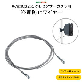 【マラソン最大1000円オフクーポン/最大P47倍】乾電池式どこでもセンサーカメラ用　盗難防止ワイヤー【so】