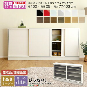 送料無料 【引戸シリーズ】セミオーダーカウンター下収納ぴったりくん キャビネット(ポリカタイプ クリア) 幅160cm×奥行25cm【so】