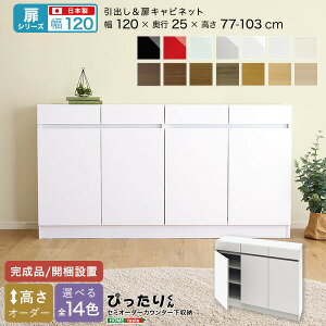  yV[YzZ~I[_[JE^[[҂肭 Lrlbg 120cm×s25cmysoz