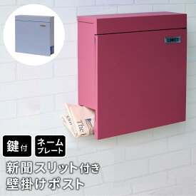 【ワンダフルデー本日限定/最大1000円オフクーポン】新聞受け付き壁掛けポスト Miche（ミケ） PST-004【ss】