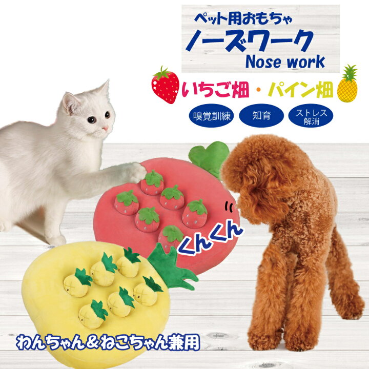楽天市場 ノーズワーク いちご畑 パイン畑 犬おもちゃ 犬 猫 知育玩具 ペットおもちゃ ペット用品 運動不足 ストレス解消 嗅覚訓練 いちご6個orパイン6個 宅急便発送 Feather Stoa 楽天市場 ノーズワーク いちご畑 パイン畑 犬おもちゃ 犬 猫 知育玩具 ペットおもちゃ ペット用品 運動不足 ストレス解消 嗅覚訓練 いちご6個orパイン6個 宅急便発送 Feather Stoa