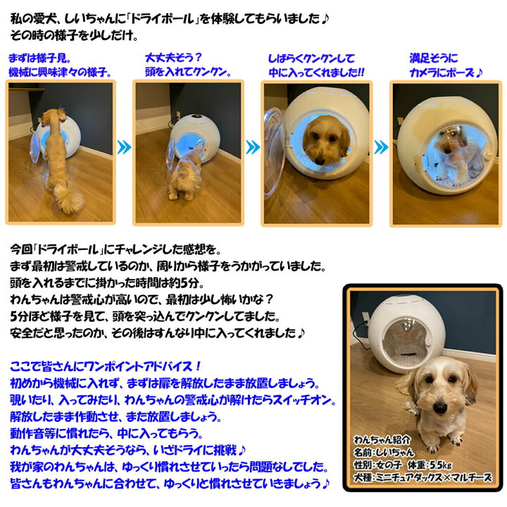楽天市場】ペット乾燥ボックス ペット乾燥箱 自動ドライボール 50L 大 