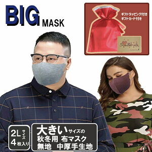 傫}XN MtgbsOt 􂦂 傫ȃ}XN 傫߃}XN rbO}XN TCY 2L 3L TCY 2d˗pɂ O[ lCr[ 萶n TCY ɂȂȂ 