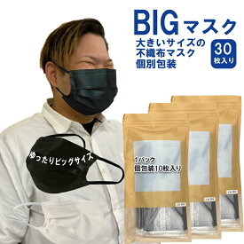 マスク 大きい 大きなマスク 大きいサイズの不織布マスク 2Lサイズ ビッグマスク 個別包装 快適な立体マスク3層構造 立体型3Dマスク 耳が痛くならない耳紐 ブラック ホワイト ビッグサイズ30枚入り ネコポス発送 フェザーストア