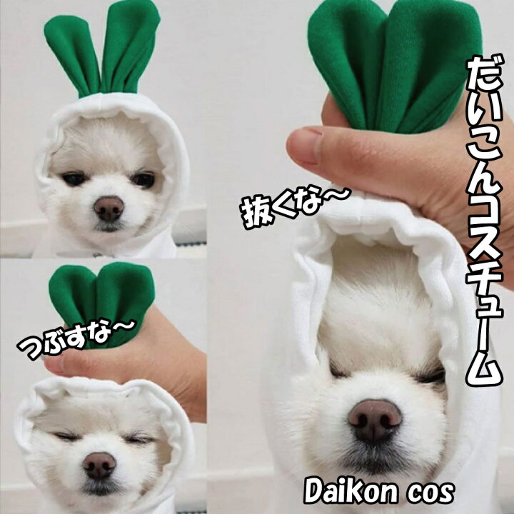 楽天市場】犬服 選べる2着セット かわいいペット冬服 小型犬ドッグ 