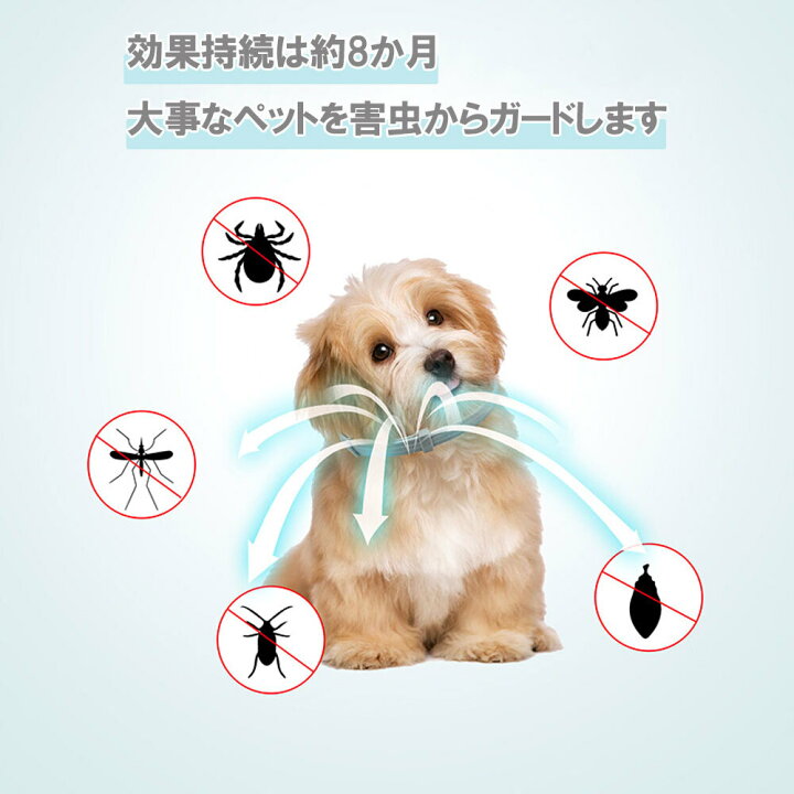 楽天市場】ノミ取り首輪 蚊よけ ペット用 効果8ヵ月 猫用 犬用 ペット 