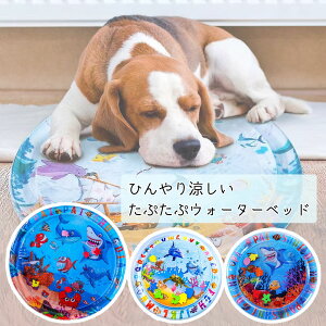  L EH[^[xbh Lpo}bg ybgp LpEH[^[xbh ybgp  L EH[^[}bg LpEH[^[}bg  Ђ o ybgV }bg ڐG