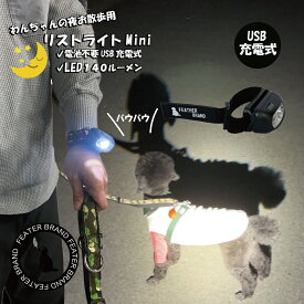 【光るチャームプレゼント】 ライト 明るい お散歩グッズ 犬散歩用ライト 夜散歩ライト 犬 腕 軽量 ウォーキング 懐中電灯 充電式 リストライト USB充電式 140ルーメン 専用ケース付き 防災グッズ キャンプ用品 災害グッズ 送料無料 メール便発送 フェザーストア