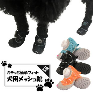 ̌C 4Zbg ی ~ ʋC bV y ˃e[v ^ ^ U ybgpi EȒP tFU[XgA