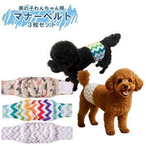  }i[xg 3_Zbg IX bVn }i[pc zwt hH EFXgTCY\ }[LOh~  p R炵΍ tFU[XgA