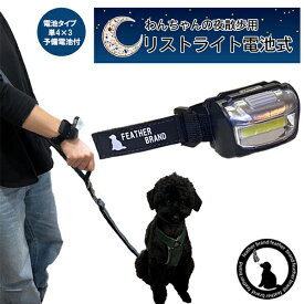 【期間限定値下げ】散歩 ライト 犬 散歩 ライト お散歩ライト 光るチャーム付き 電池タイプ 散歩用ライト 犬の散歩 懐中電灯 犬 腕 軽量 ウォーキング 懐中電灯 リストライト 明るい 140ルーメン 専用ケース付き 防災グッズ キャンプ用品 災害グッズ 送料無料 フェザーストア