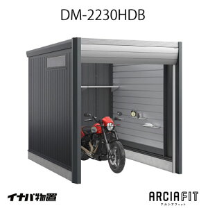 y֓̔zCioK[W Ԍ ARCIAFIT@AVAtBbgDM-2230HDBiTypeBjiʌ^j[G-3807]yyΉszyz