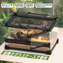 楽天市場】大型 猫 ケージ（爬虫類・両生類｜ペット・ペットグッズ）の通販