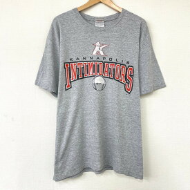 ★20%オフ クーポン 4/2 14時まで★【ゆうパケット対応】ナイキ NIKE TEAM カナポリス インティミデイターズ Tシャツ 半袖 スウッシュロゴ プリント サイズ：L ヘザーグレー 【古着】 古着 【中古】 中古 mellow KANNAPOLIS INTIMIDATORS【あす楽対応】【古着屋mello