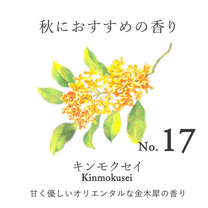 楽天市場 5個 セット サシェ 袋 芳香剤 部屋 トイレ 車 おしゃれ 玄関 かえ ルームフレグランス 長持ち 詰め替え 花 アロマ 置くだけ フック クローゼット 衣類 匂い袋 香り袋 スーツケース Pb 香りで彩るくらし Feellife