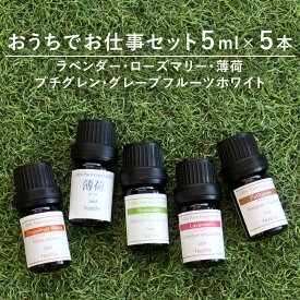 アロマオイル 精油【在宅ワークの方へ】【5ml×5本】精油セット ラベンダー セット レモングラス ベルガモット アロマディフューザー アロマ エッセンシャルオイル ローズ ヒノキ ローズマリー 使い方