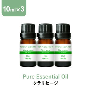 A}IC y10mlzNZ[W GbZVIC 10ml×3{ Zbg A}fBt[U[ A} g  fBt[U[