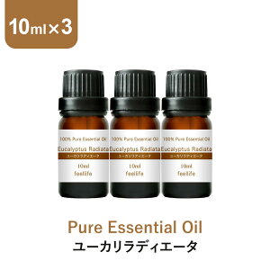 [JfBG[^ A}IC GbZVIC  10ml×3{ A}fBt[U[ A} g fBt[U[ [J [JfBA[^ fBG^ fBA^ [
