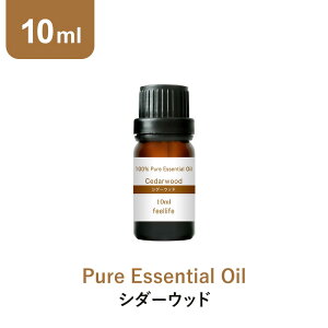 A}IC y10mlzV_[Ebh GbZVIC A}fBt[U[ A} g  fBt[U[ V_[Ebh@[WjA