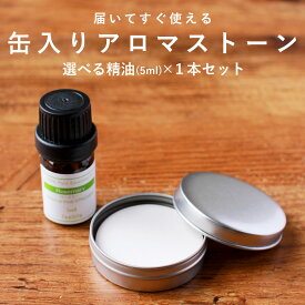 【精油 5ml×1本 セット】缶入りアロマストーン おしゃれ 素焼き 缶 ディフューザー スティック アロマ アロマディフューザー 水を使わない 水なし コンパクト 卓上 お手入れ 簡単 オイル pb