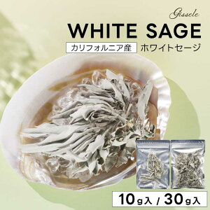 zCgZ[W 򉻗p Gissele (W[) zCgZ[W NX^[ 10g 30g JtHjAY y}t X}bWO A}  z[[n[u K ґz h CeA O }t[