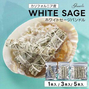 yN[|5`20%OFFzzCgZ[W 򉻗p Gissele (W[) zCgZ[W oh 1{ 3{ 5{ (X^Cv) yJtHjAY X}bWO A} K ґz CeA }t 