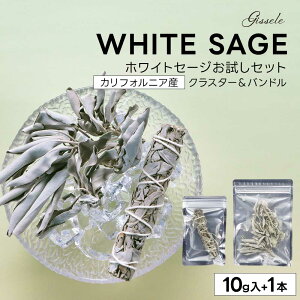 zCgZ[W 򉻗p Gissele (W[) zCgZ[W Zbg NX^[ 10g  oh 1{ yJtHjAY }t X}bWO A} K ґz CeA O }t i