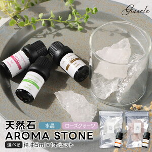 A}Xg[ VR GisseleiW[jVR΃A}Xg[ 30g×5  5ml×1{ Zbg  [YNH[c yx_[ IW eB[gD[ NX^ A}IC A