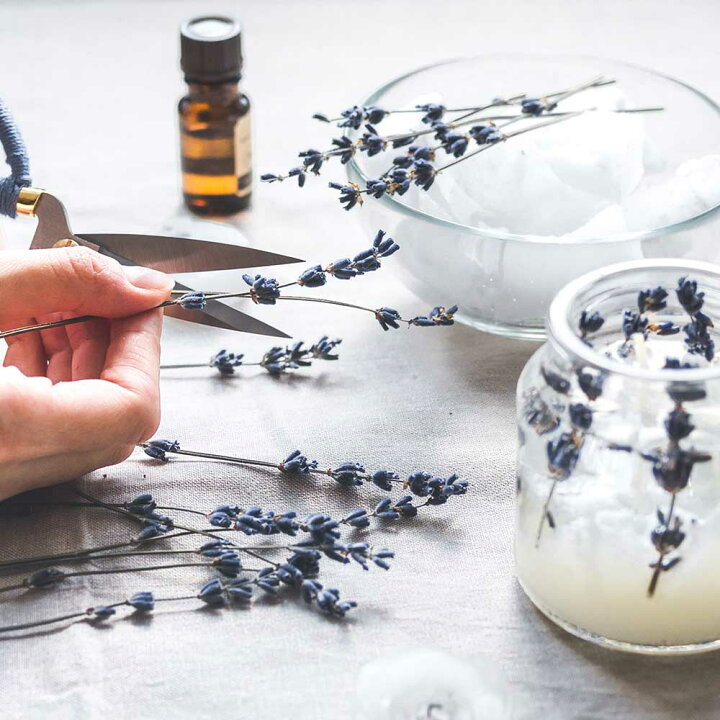 楽天市場 単品 日本製 パラフィンワックス ペレットタイプ 500g アロマキャンドル 素材 ハンドメイド 材料 女性 キャンドルホルダー キャンドルライト キャンドルウォーマー キャンドルスタンド Pb 香りで彩るくらし Feellife