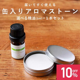 【期間限定！SALE】【精油 5ml×1本 セット】缶入りアロマストーン おしゃれ 素焼き 缶 ディフューザー スティック アロマ アロマディフューザー 水を使わない 水なし コンパクト 卓上 お手入れ 簡単 オイル pb