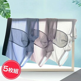 【27日迄15％OFF】【5点セット】ボクサーパンツ 5枚セット メンズ 通気性 セクシー 送料無料 メッシュ ボクサーブリーフ 無地 薄い 軽い 透ける 男性下着 吸水速乾 ストレッチ フィット