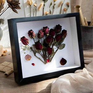 tHgt[ z ` Ǌ| ̊z ʐ^  {bNXt[ hCt[ W{ j j tBMAP[X CeA tHgX^h (ubN)