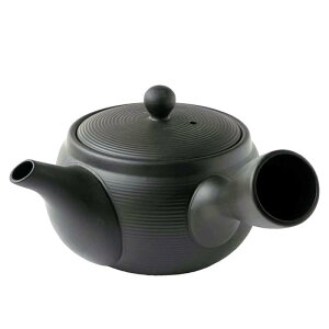 風景ドットコム 常滑焼 急須 206i 陶製茶こし セラメッシュ 460ml 日本製