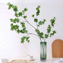 楽天市場】観葉植物 パキラ（インテリア小物・置物｜インテリア・寝具 