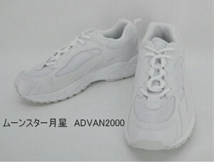 [X^[@ADVAN2000@@ʊwC Ђ^Cv