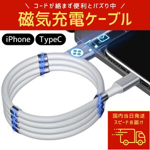 yziPhoneΉ }OlbgP[u  iPhone android USB-A to Lightning݊/USB-A to Type-C ^Cvc }OlbgP[u fɂ }Olbg  }Olbg[v usbP[