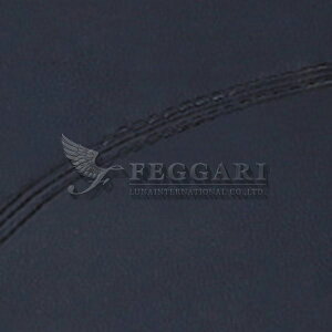 nCG[X / WAXG[X 200n Chԗp v~A _bV}bg J[ݒL i / tFK[ FEGGARI