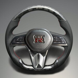 FEGGARI GT-R R35 {v & tH[WbhJ[{ XeAO() NAh bh [Xeb` / LS310 tFK[