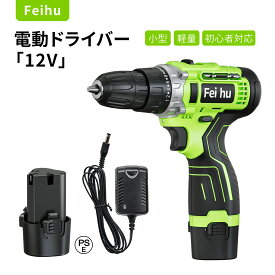 12V 電動ドライバー 電動ドリル ドリルドライバー 最大トルク25N・m 25+1段階トルク調節 スピード調節 正逆転切替 LEDライト付き 木材金属 穴あけ ドライバー 小型 軽量 女性や初心者対応 DIY 家庭 家具組立用 バッテリー PSE認証済