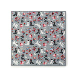 tFC[/FEILER veB@veBoX