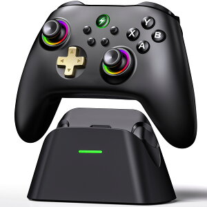 �y300�~�N�[�|����PC�ɖ����ڑ��zSwitch/Switch2 �R���g���[���[ �X�C�b�`2 �v���R�� Nintendo Switch Pro�R���g���[���[ �}�N���@�\ �U�� �A�� 1000mAh �W���C�� �G�����g���K�[�{�^�� ���� 9�F�ϊ�RGB PC