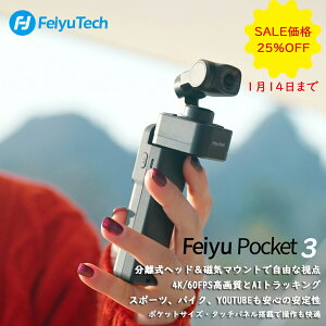 �y25%OFF ���Ӊ��i�I�z �r�f�I�J���� 3�� ��u���␳ Feiyu Tech Pocket 3 COMBO �Z�p���[�g �J���� AI�g���b�L���O �h���C�u���R�[�_�[ �}�O�l�b�g�z�� 4K/60fps����B�e �R���p�N�g �^�b�`�p�l�� �X�|