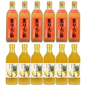 񂲐| 500ml×12{yzIׂ錺č|Ƃ񂲐|̐▭uh|YIgp݂₷^Cv