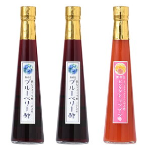hV̓ Mtg̐|u[x[|300ml×3{y +300~zސ|Iׂʕ|t[c̃hN|ސ|t[c|ʎ|j Ε Ε oYj Ԃ a 