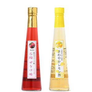 j Mtg̐|ΞփUN|300mlIׂ 1{ 2{y2{zސ|t[c̃hN|t[c|ʎ|j Ε Ε 䒆  hV̓ oY