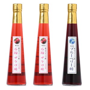 j Mtg̐|ΞփUN|300ml×3{yzސ|Iׂʕ|t[c̃hN|t[c|ʎ|Ε Ε oYj Ԃ a 䒆  hV̓