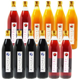 yƖpz̐|u[x[|900ml 12{yzސ|Iׂʕ|t[c|t[c|ʎ|JtF  T[ RN enT N[[V