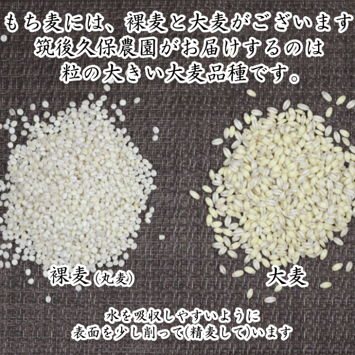 むぎもち様☆専用 楽天市場】もち麦 450gポスト投函専用【福岡江久母出荷】大麦